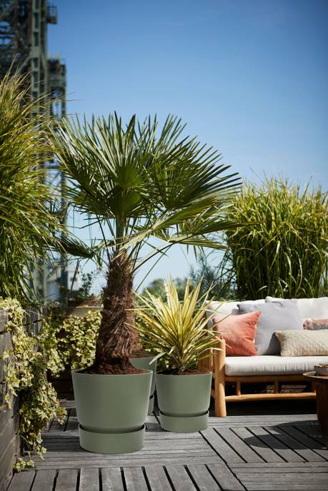 greenville round 40cm leaf green